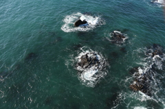 onahama_iwaki_3866
