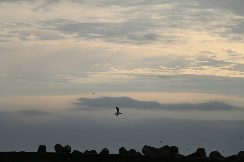 shioyazaki_iwaki_5565