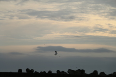 shioyazaki_iwaki_5565