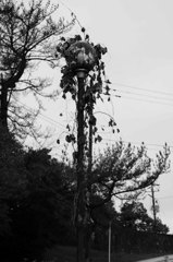 IMG_6361