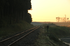 izumi_iwaki_5337