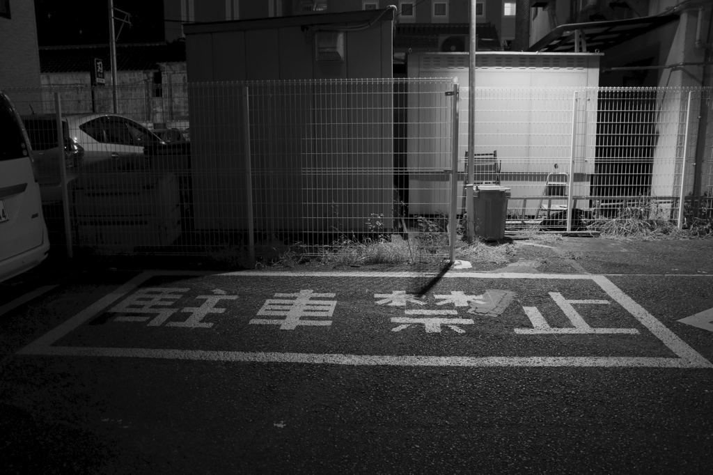 taira_iwaki_4390
