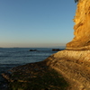onahama_iwaki_5223