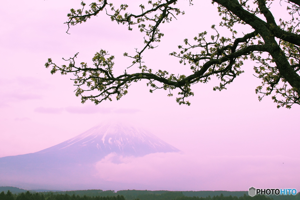 朝霞の富士山