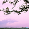 朝霞の富士山