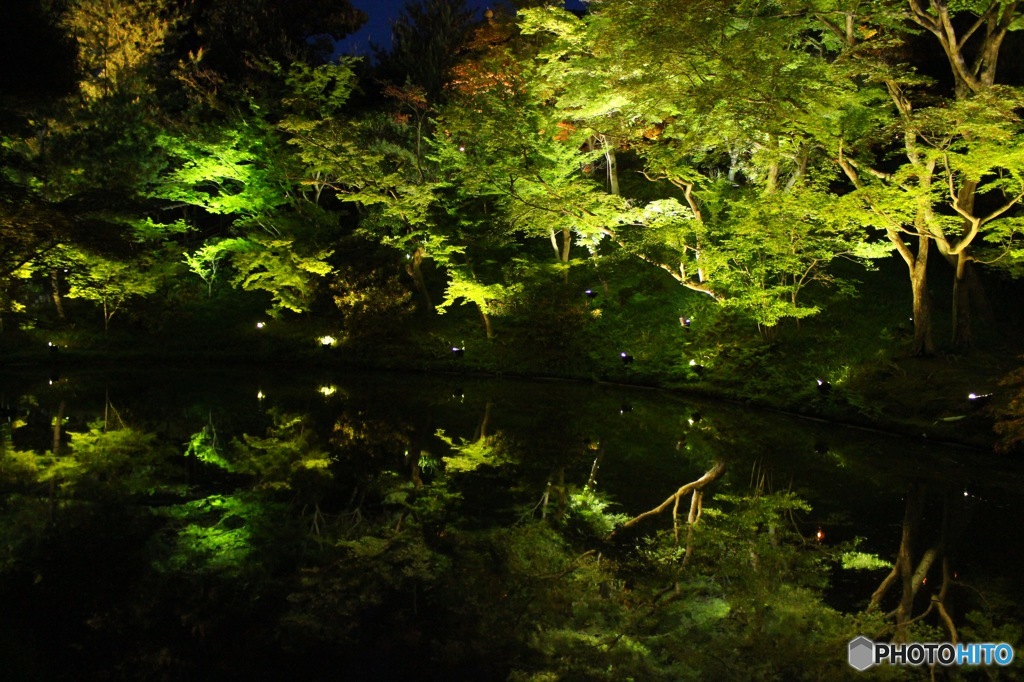 高台寺　夜間拝観