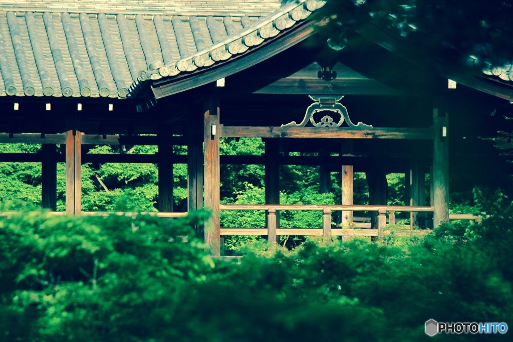 東福寺　通天橋