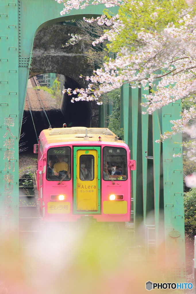春色鉄道
