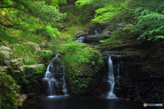 赤目四十八滝