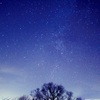 星と一本の木