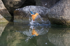 水浴び