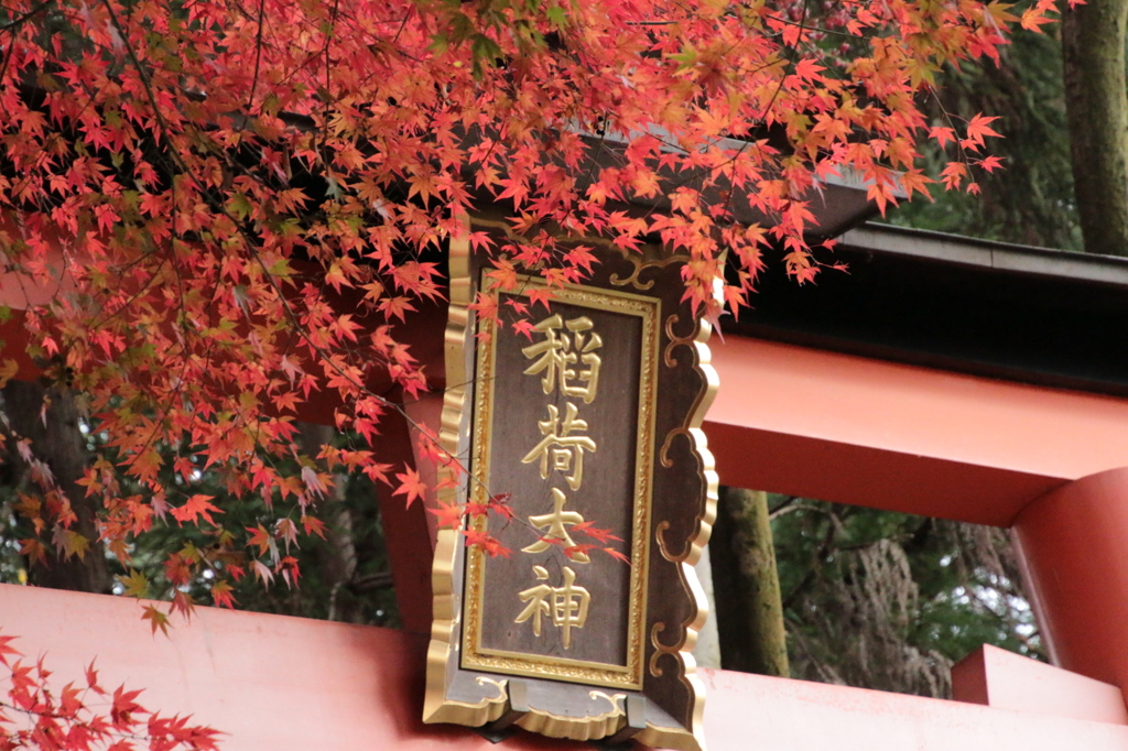 伏見稲荷