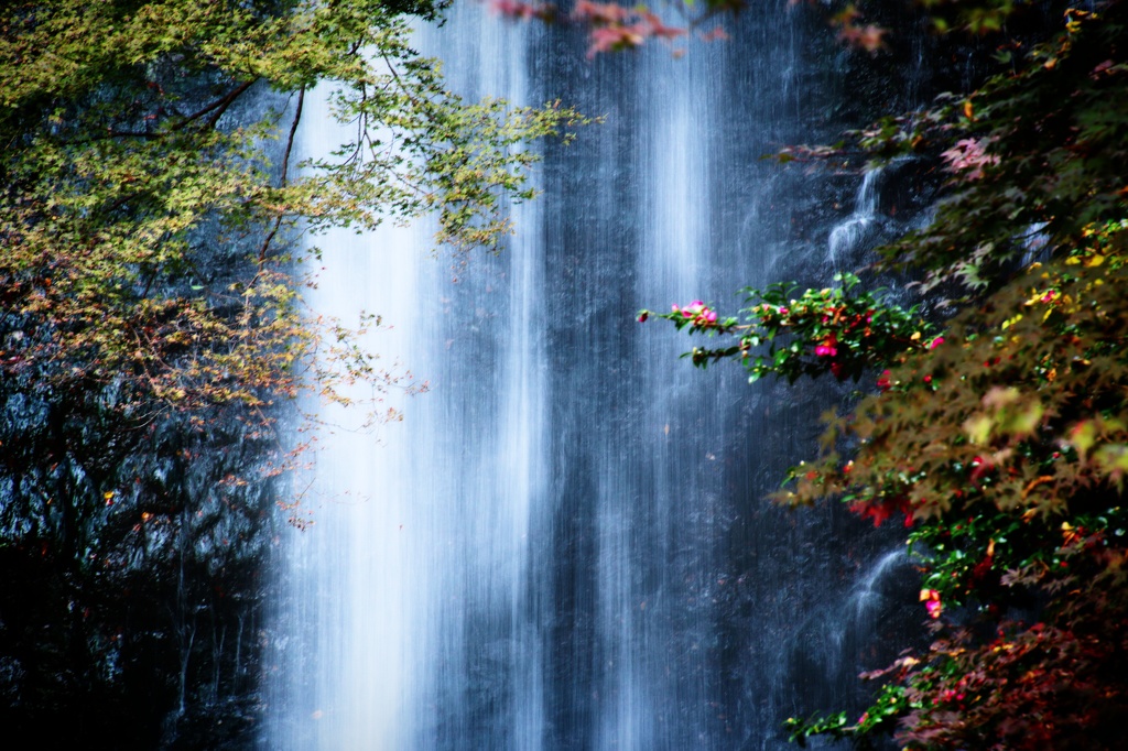 箕面の滝