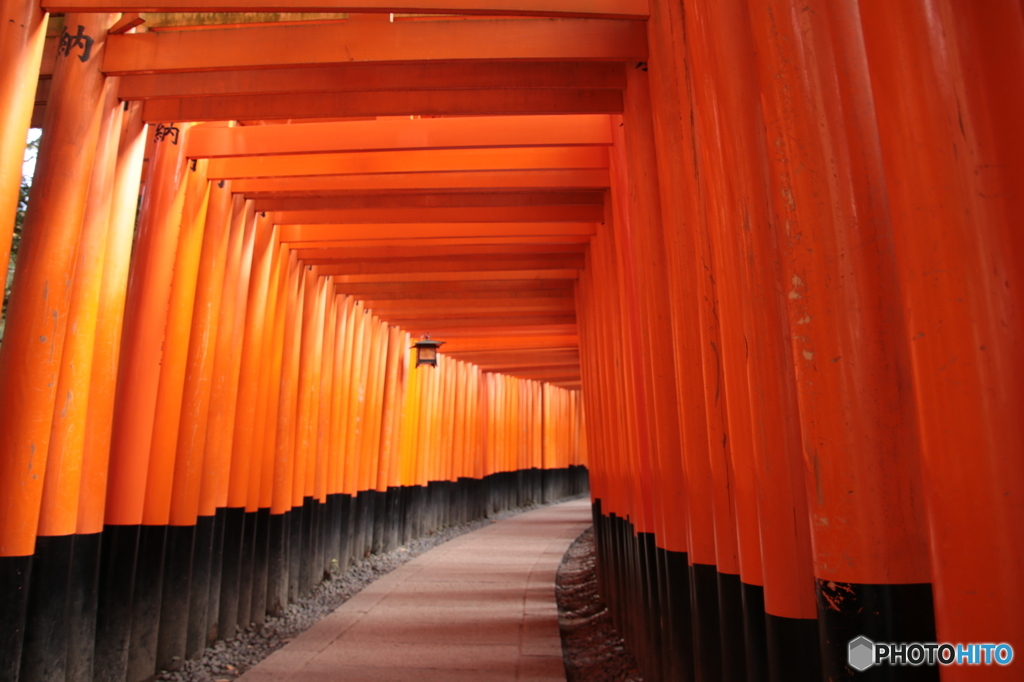 千本鳥居
