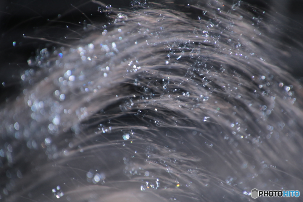 シャッタースピード遊び