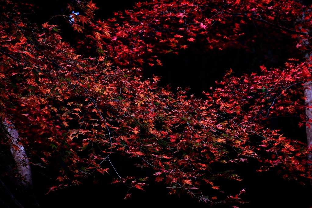 箕面の滝
