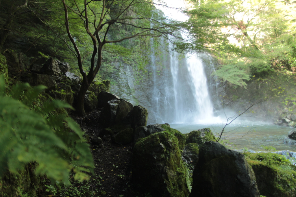 箕面の滝