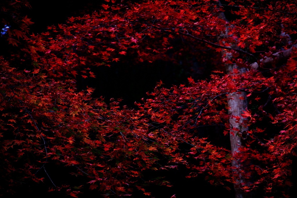 箕面の滝