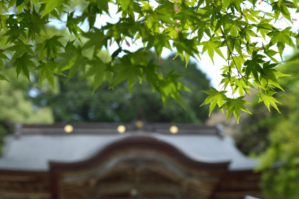 仁比山神社_3