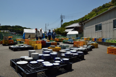 有田陶器市#116_03