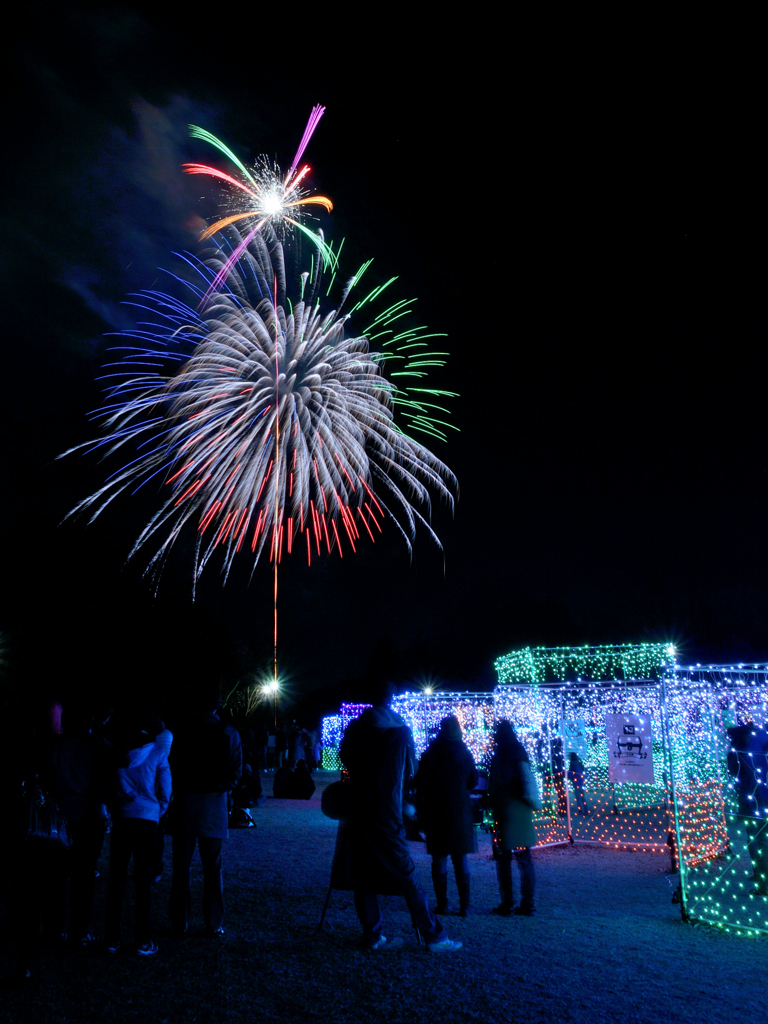 昭和記念公園W.V.I.2015_15