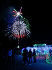 昭和記念公園W.V.I.2015_15