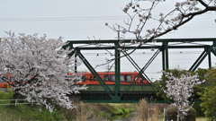 桜香る車窓