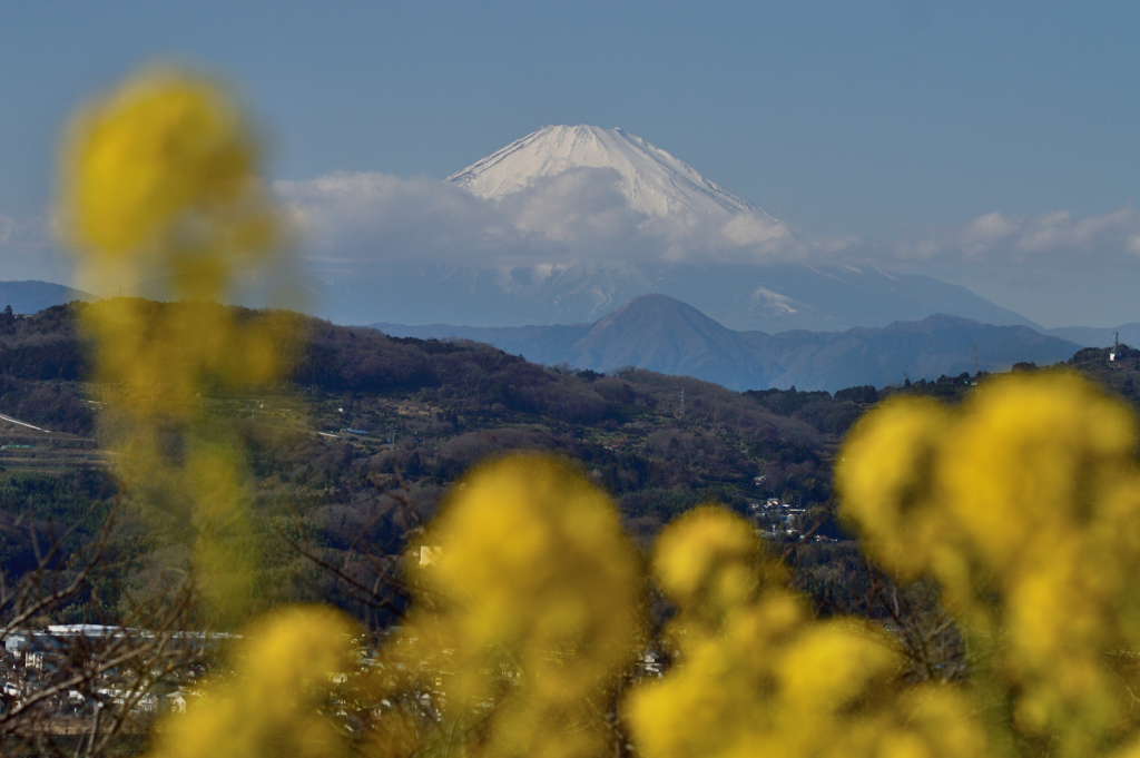 吾妻山公園_11