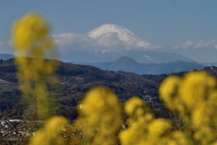 吾妻山公園_11