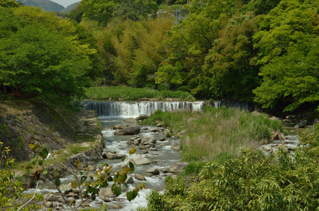 城原川