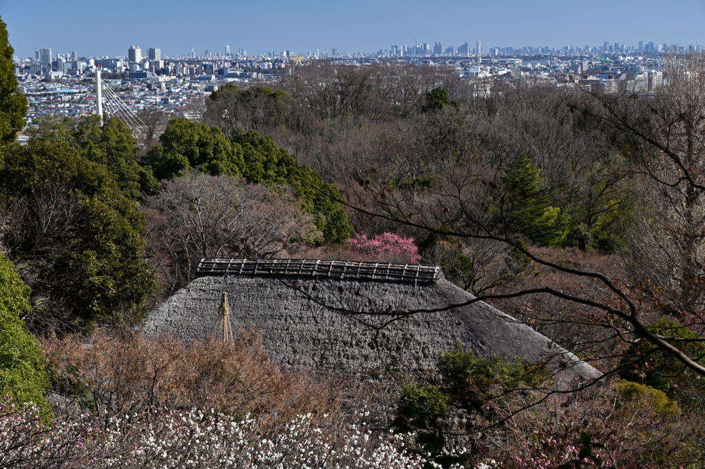 百草園_01