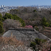 百草園_01
