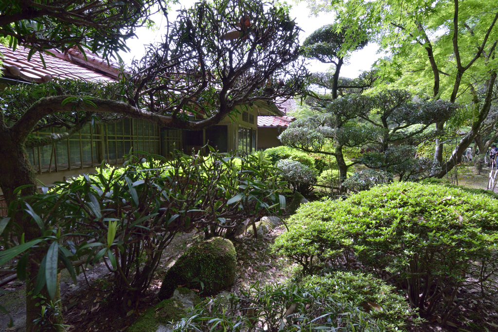 九年庵_11