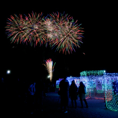 昭和記念公園W.V.I.2015_18