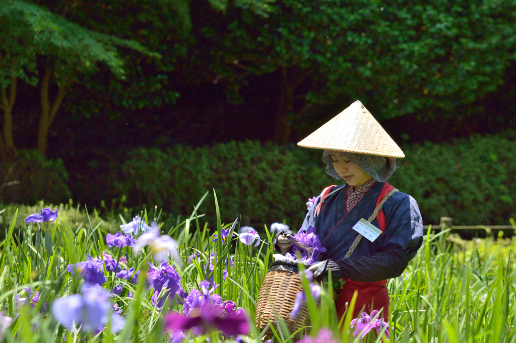 花がら摘み_2