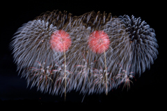 こうのす花火#16_13