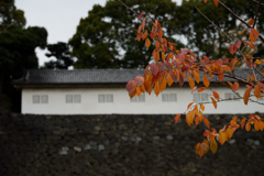 皇居乾通り_07