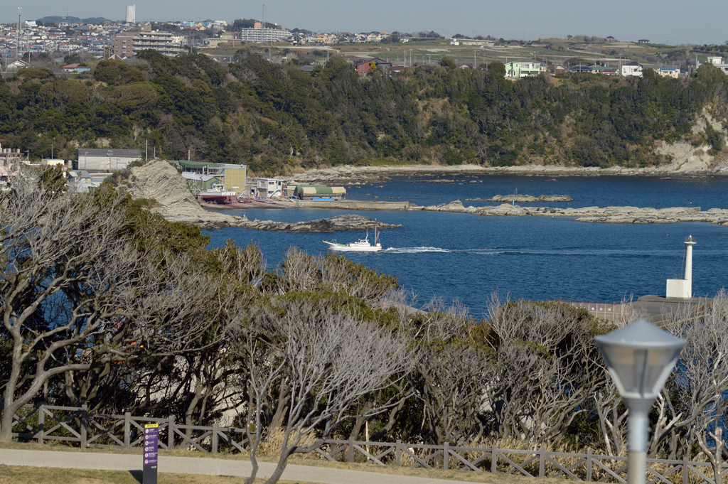 城ヶ島_10