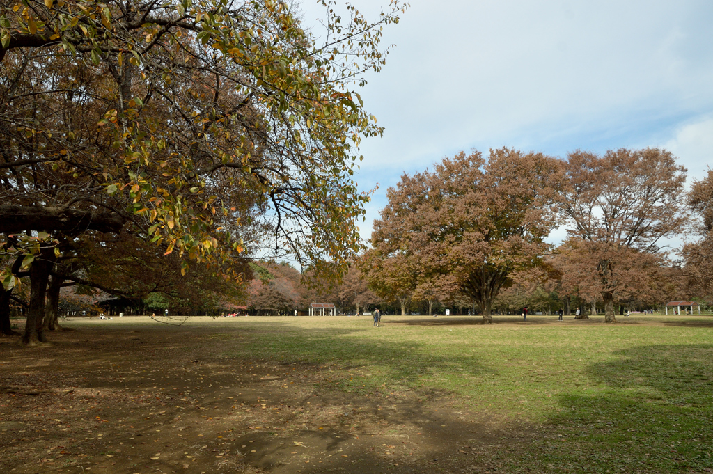 代々木公園_02