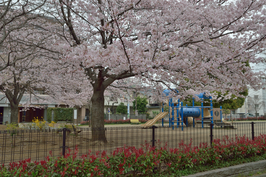 中ふれあい公園2