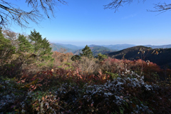 紅葉_#04