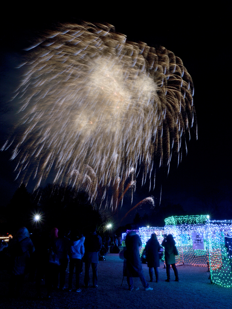 昭和記念公園W.V.I.2015_20