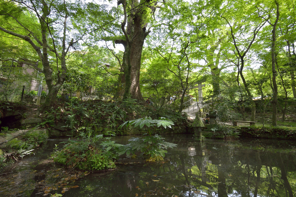 仁比山神社_1