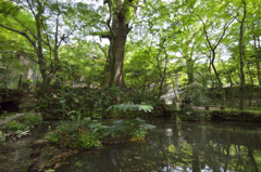 仁比山神社_1