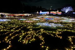昭和記念公園W.V.I.2015_12
