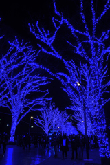 青の洞窟_13