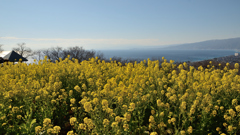吾妻山公園_06