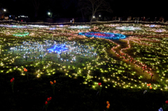 昭和記念公園W.V.I.2015_11