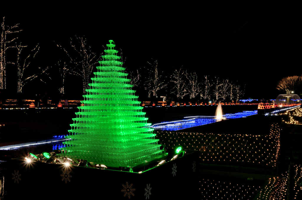 昭和記念公園W.V.I.2015_02
