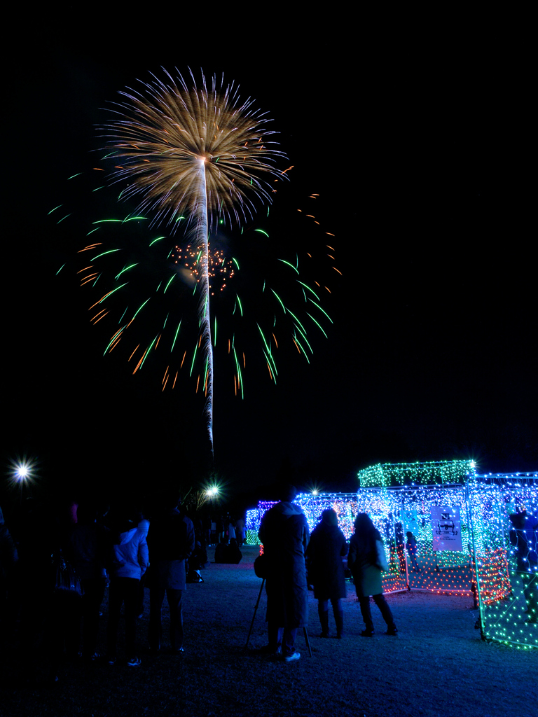昭和記念公園W.V.I.2015_16